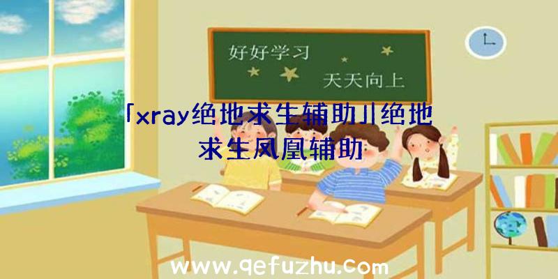 「xray绝地求生辅助」|绝地求生凤凰辅助